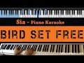 Sia - Bird Set Free - LOWER Key (Piano Karaoke / Sing Along)