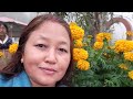Krishna Rai Is Live