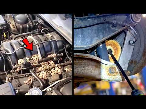 Customer States Compilation (Best of January & February 2026) | Just Rolled In