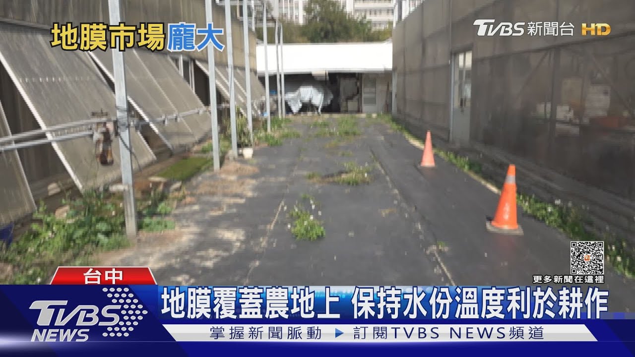 循環經濟再添一筆! 鳳梨葉、甘蔗渣變身多功能地膜