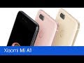 Mobilní telefon Xiaomi Mi A1 4GB/64GB