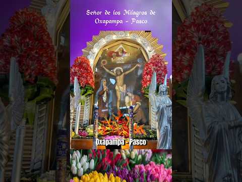 Oración al Señor de los Milagros de Oxapampa - Pasco (Perú). #señordelosmilagros #oxapampa #shorts
