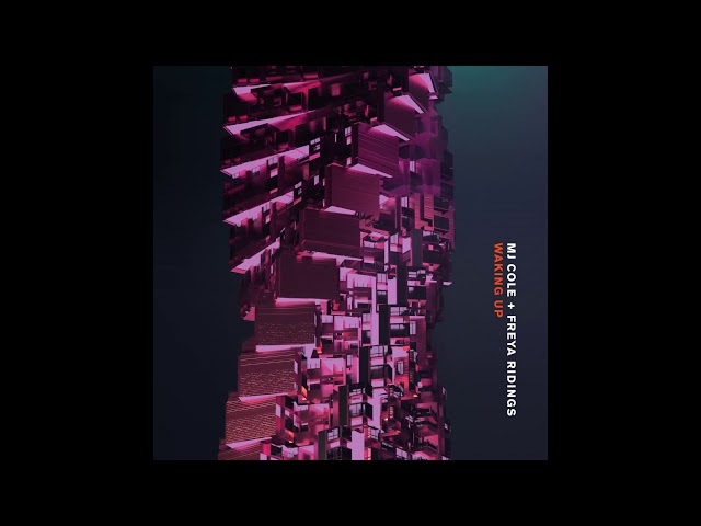 MJ Cole feat. Freya Ridings - Waking Up (2019)