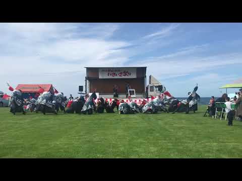 商学科 小樽商科大学"翔楽舞" 出帆唄 余市いきいき祭り 2018/07/22