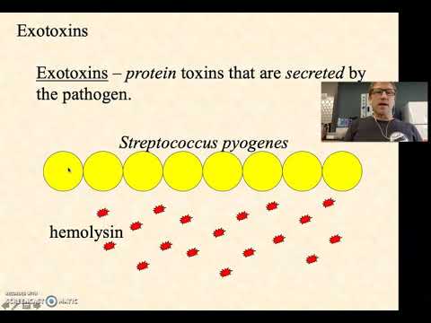 BIO2020 Episode 055: bacterial virulence part 3
