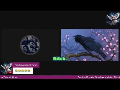 Thumbnail for Most savage roast lines from a chaotic rap battle