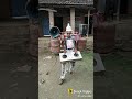 Bend Baja Desi Dj Remix Song In The Rajasthan What S App Stetas
