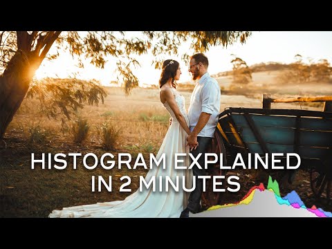 The Easiest Way to Learn About Photography Histogram in Under 2 minutes