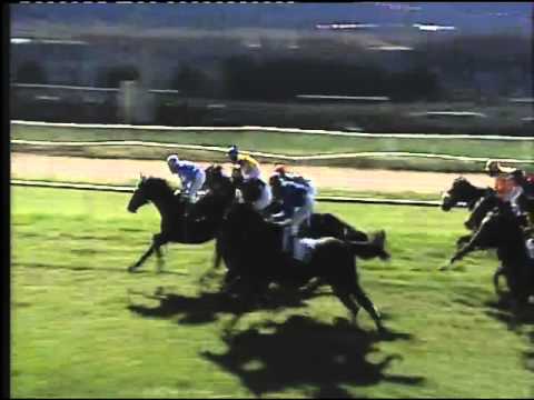 Galoppo 29/01/2016 7° corsa