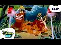 Timon And Pumbaa Train Simba To Be Fierce The Lion King S Timon And Pumbaa Disneykids