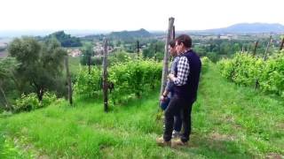 adami:la coltivazoine eroica