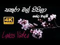 Sakura Mal Pipila Nanda Malani Lyrics Video 4K