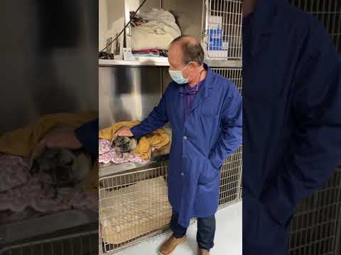 Pet Stop Vet Patients and Dr. B