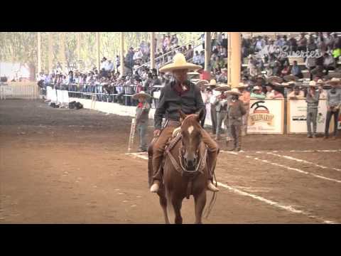 5 Best Coves - Millionaire Tournament 2015