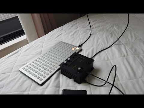 Wish - Monome Norns + Grid（KORG NTS-1 + KORG Volcafm sampling）