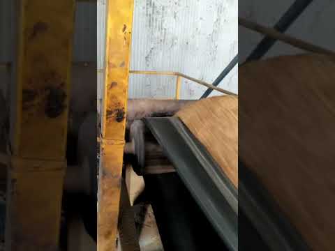 Băng tải chuyển trấu 