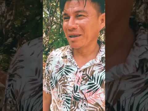 Peruvian amazon ayahuasca retreat at La Luna del Amazonas. #ayahuasca #shamanism