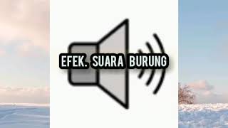 Download lagu suara burung murai batu (efek untuk vidio) mp3