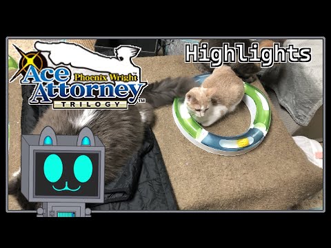 Cats Object Highlights | Phoenix Wright with the Cats