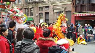 Chinese New Year 2014 - Wood Horse celebration
