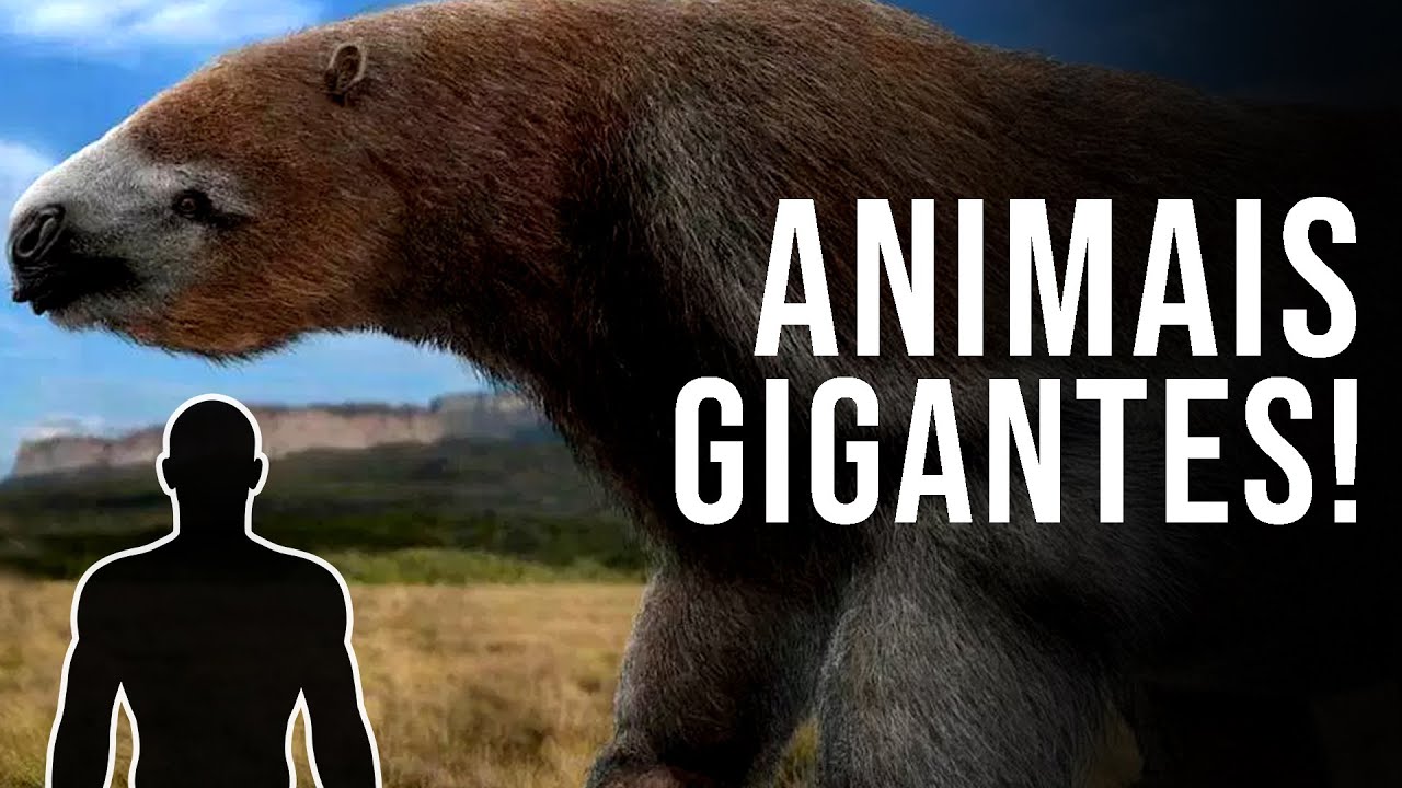 PORQUE OS ANIMAIS ERAM GIGANTES NA PRE-HISTÓRIA?