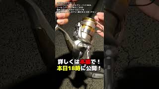 【春アオリ】エギ不使用で春アオリイカを狙った結果【ヤエン】