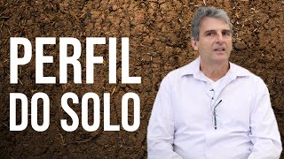 Perfil do Solo: horizontes e camadas