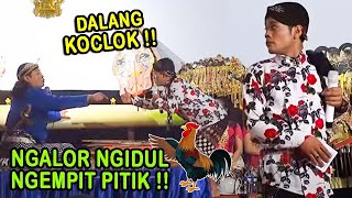 Download lagu Percil Cs : Ngomongne Dalange senengane adu Pitik..!! mp3 Download lagu Percil Cs : Ngomongne Dalange senengane adu Pitik..!! mp3