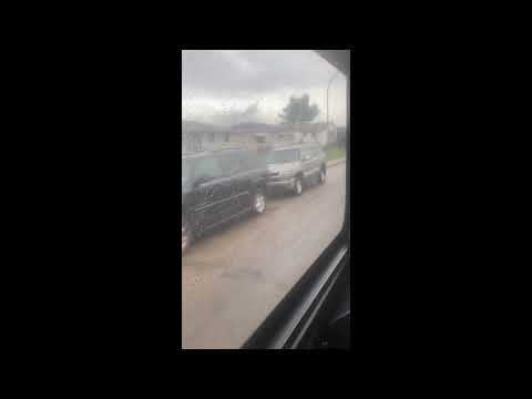 Edmonton Transit Service (ETS) - 2007 New Flyer D40LFR #4567 - 152 Belvedere