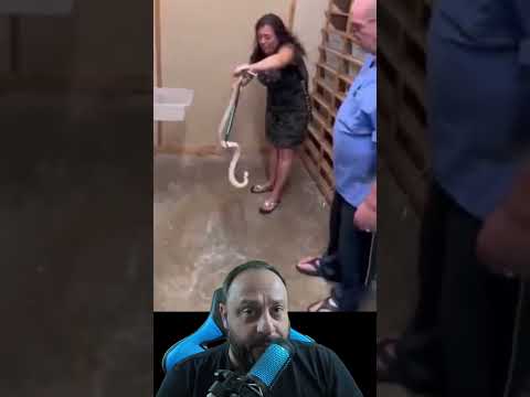 Equipment needed to handle snakes