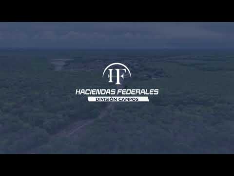 Campo Mixto de 3.470 ha en Formosa – Ganadero, Agrícola y Forestal