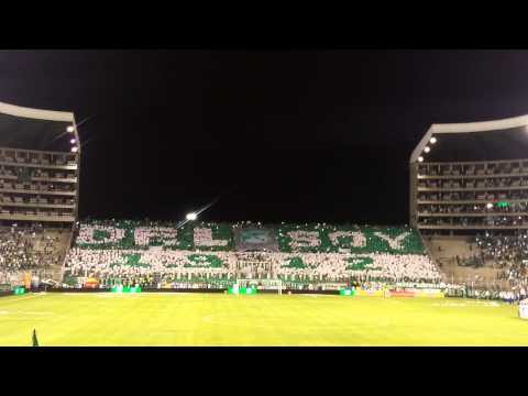 "SALIDA Y TIFO HD DEPORTIVO CALI VS NACIONAL PLAY-OFF" Barra: Frente Radical Verdiblanco &bull; Club: Deportivo Cali