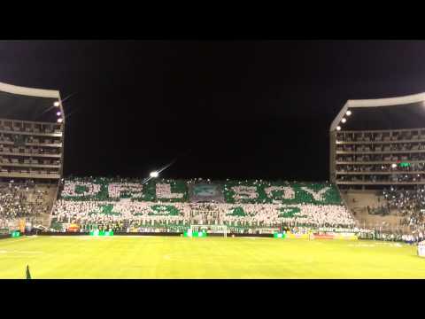 "SALIDA Y TIFO HD DEPORTIVO CALI VS NACIONAL PLAY-OFF" Barra: Frente Radical Verdiblanco • Club: Deportivo Cali