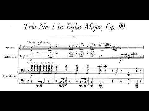 Schubert: Piano Trio No.1 in Bb, D.898 (Trio Dali)