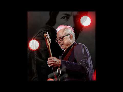Bill Frisell - Bird On The Wire (Here It is - Leonard Cohen Tribute)