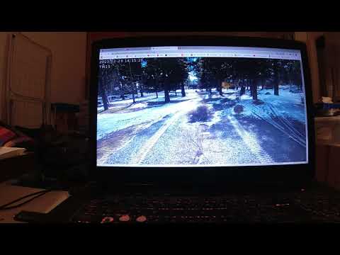 MongoTV_12500 - HAVE TOGBANE - Del 11 - Popcorn - Train Mountain Railroad - Living In a Box