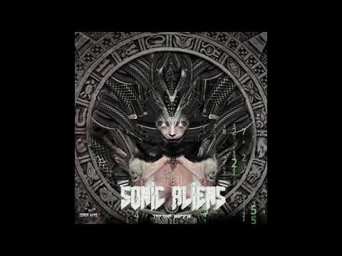 Alienn vs Trhip - Takeover (Tartaruz Remix)