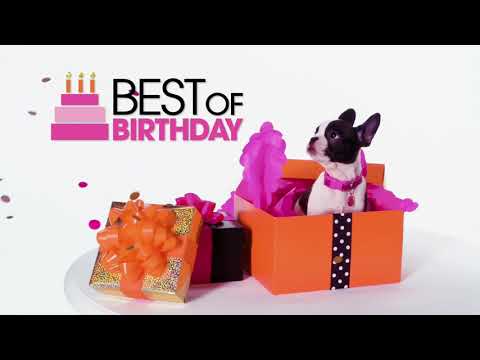 HSN | Home Solutions Celebration featuring Hoover 07.30.2018 - 10 AM