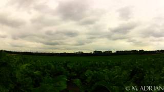 preview picture of video 'Wesseling GoPro HD Landscape Timelapse 2014.06.19'