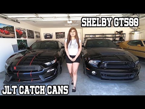Ford Shelby GT500 JLT Oil Catch Can Install