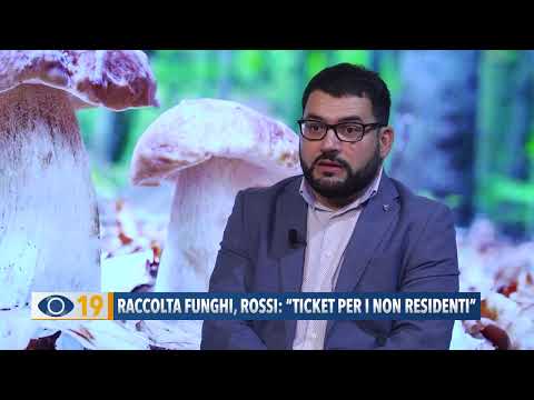 Raccolta funghi, Rossi: "Ticket per i non residenti"