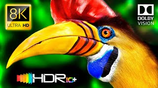 4K Video HDR 120FPS Dolby Vision - The Glory of 8K Video ULTRA HD #8K #4K
