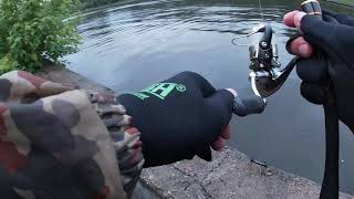 Отчеты о рыбалке rusfishing