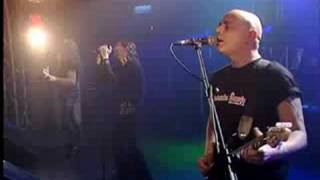 saratoga-estrellas del cielo