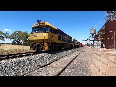 NR71 & NR95 Gunningbland NSW.  Fri 27th Jan 2023