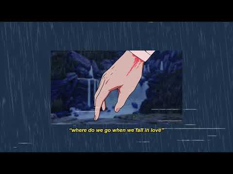 svmp, zebatin & fallen oceans - where do we go when we fall in love