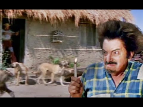 MAZZAROPI- CACHORRO; É o própio Capeta...Apresenta André Luiz Mazzaropi.