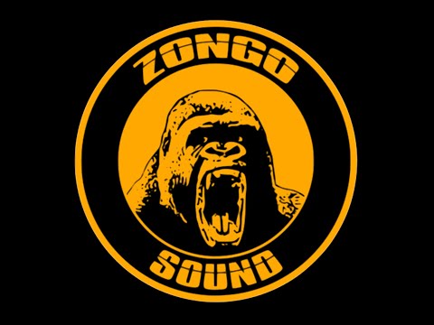 ZONGO SOUND-JAH HAMMER/GREEN POWER