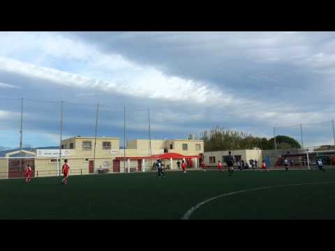 Zapillo benjamín provincial