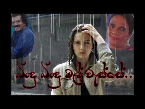 bindu bindu mal wasse